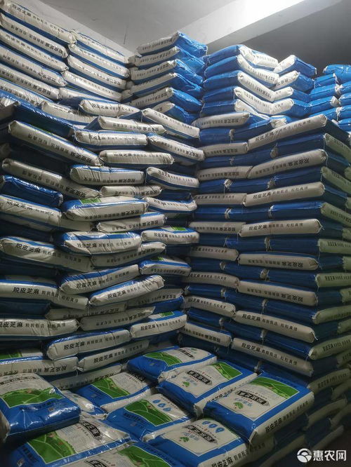 白芝麻價格趨勢與行業應用分析